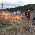 4月かや場野焼き